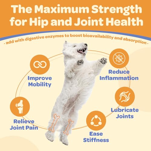 Pumpkin Powder for Dogs & Glucosamine for Dogs, 180 Freeze Dried Bites