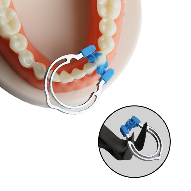 Dental Sectional Matrices Clip Matrix Sectional Contoured Matrices Clamps High Temperature Resistant Metal Spring Clip Rings (Type B） Type B