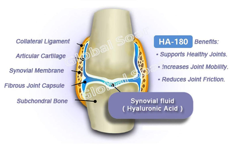 Omega Alpha HA-180 (Hyaluronic Acid) for Pets-250ml - PawsPlanet Australia