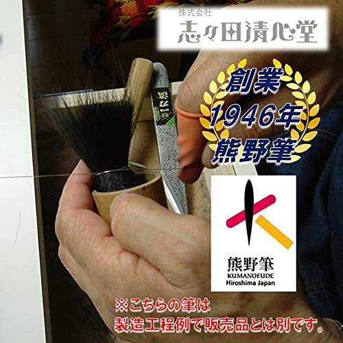 Shishida Seishindo Kumano Brush, Auto Lip Brush, 100% Natural Horse Hair, Kumano Certified, 661 - NewNest Australia