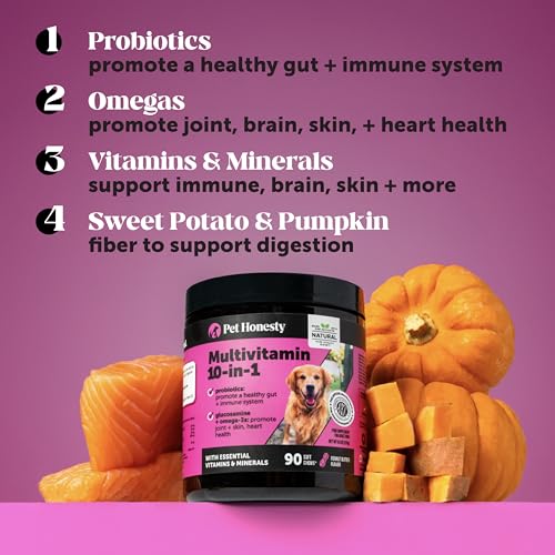 Pet Honesty Dog Wellness Virtual Bundle – 10-in-1 Multivitamin Supplement (Peanut Butter, 90 Ct) + Brush Buddies Dental Sticks for Large Dogs (8 Ct) – Daily Health & Dental Support