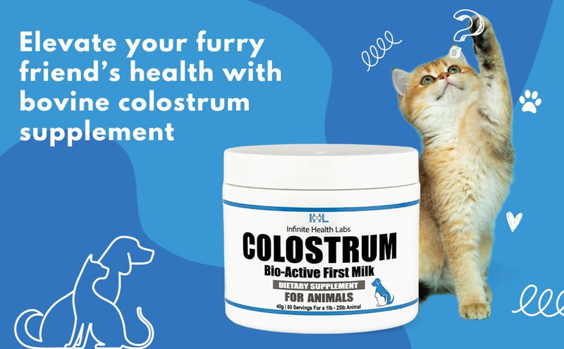 Bio-Active Bovine Colostrum for Dogs, Cats, Puppies, Kittens & Pets - Daily Colostrum Powder Supplement 40g (80 Servings) - PawsPlanet Australia