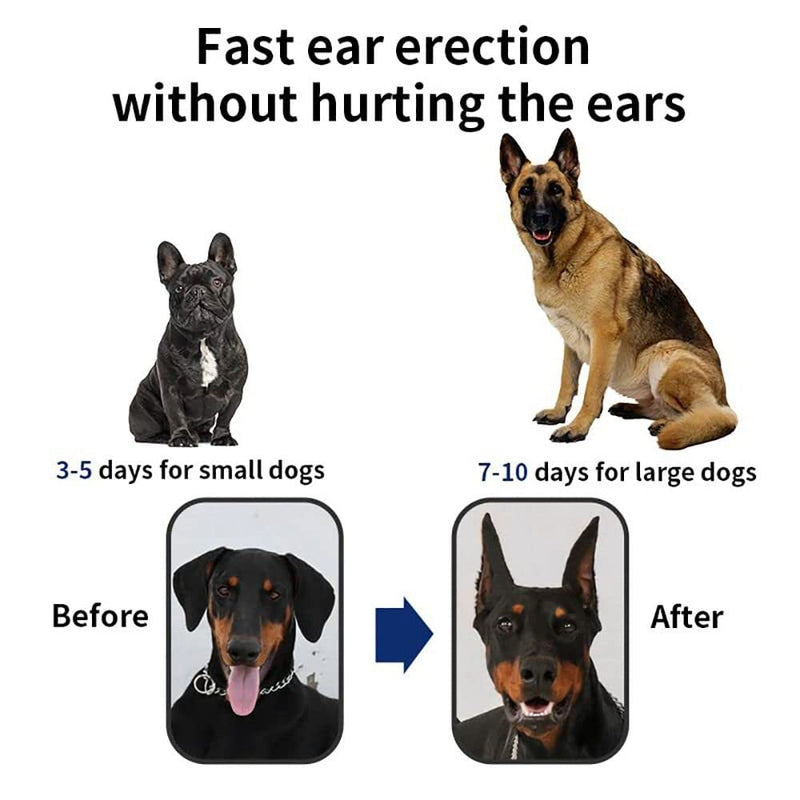 Andy's Orchids Dog Ear Stand Up Support Tool Sticker, Dog Ear Fixed Correction Vertical Holder for Doberman Pinscher Sheltie Corgi Puppies 2.7 * 1.38 inch - PawsPlanet Australia