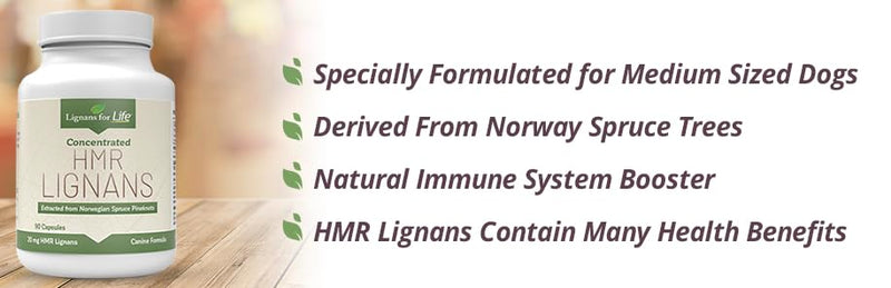 HMR Lignans for Dogs 20mg - 90 Capsules - Vitamin for Healthy Pet | Natural Dog Multivitamin | Dog Wellness Supplement | Dog Nutritional Supplement | Overall Health w/Phytonutrients