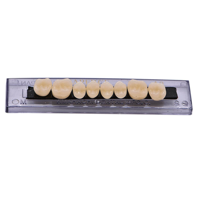 Angzhili Dental Synthetic Acrylic Resin False Teeth for Halloween Horror Teeth Denture Teeth Sets Shade A3 Upper And Lower Acrylic Teeth Sets(168pcs)