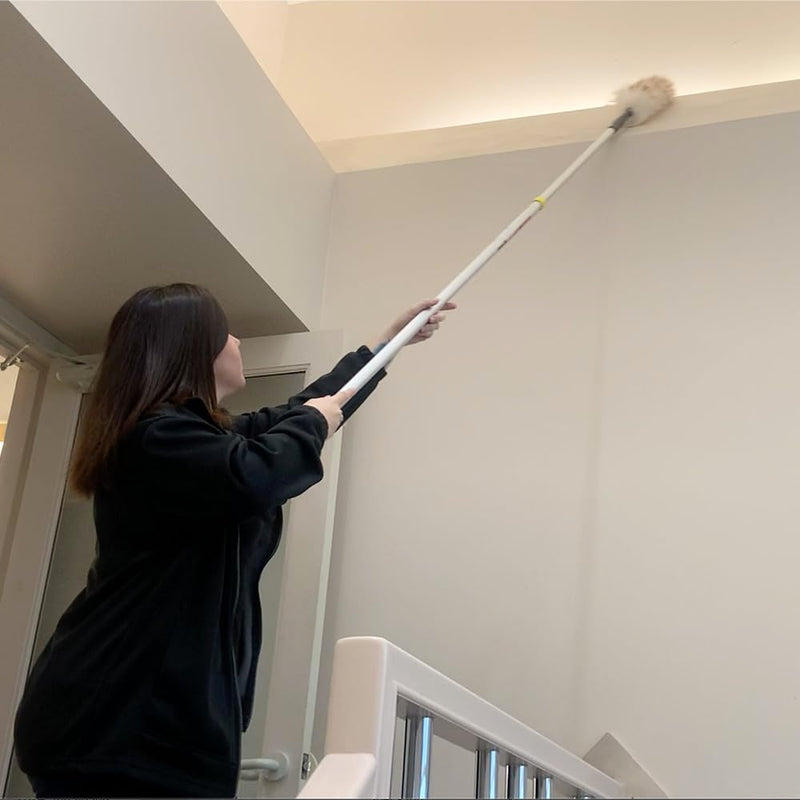 Mr Longarm 9248 Twist-Lok Extension Pole