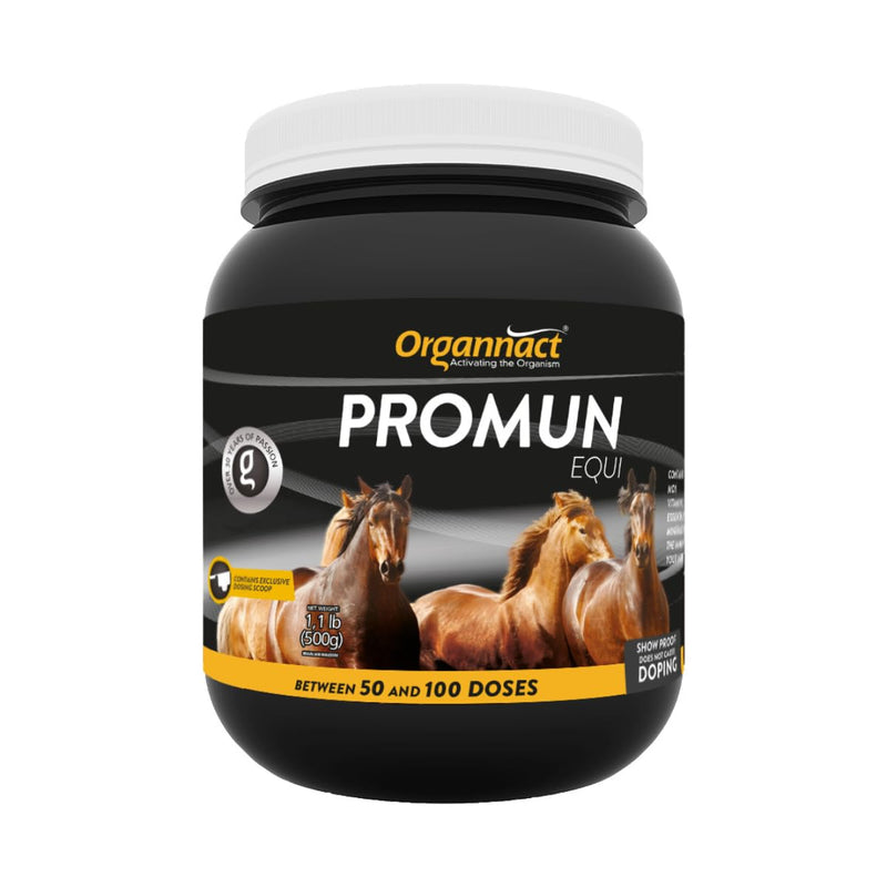 Organnact Promun Equi - Nutritional Support for Horses - Enhances Immune Function, Gut Health, and Antioxidant Protection - Non-Doping, Excellent Palatability - 1.1 Lbs