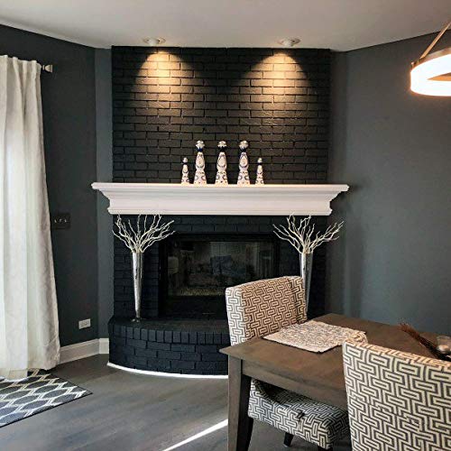 THE ONE Paint & Primer: Most Durable All-in-One Furniture Paint, Cabinet Paint, Front Door Paint, Wall Paint, Bathroom, Kitchen - Fast Drying Craft Paint Interior/Exterior (Black, Matte, 8.5oz) Metal Can - 8.5oz Black (Matte)