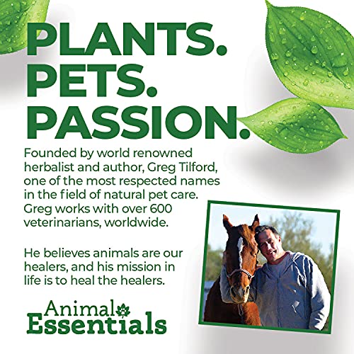Animal Essentials Colon Rescue Herbal GI Support for Dogs & Cats (Various Sizes) - Made in USA Digestive Aid, Phytomucil Blend 1-Pack - PawsPlanet Australia