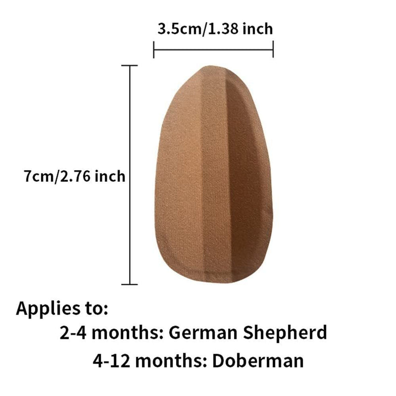 Andy's Orchids Dog Ear Stand Up Support Tool Sticker, Dog Ear Fixed Correction Vertical Holder for Doberman Pinscher Sheltie Corgi Puppies 2.7 * 1.38 inch - PawsPlanet Australia