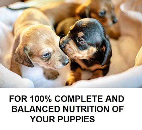 Substitute Baby Dog Milk 400g, A Complete And Balanced Milk For Nursing Puppies - PawsPlanet Australia