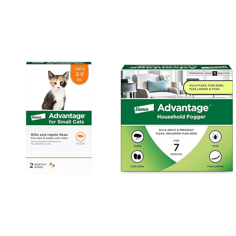 Bundle of Advantage Topical Cat Flea Treatment and Prevention for Small Cats 2-9 lbs. + Advantage Household Fogger for Home | 2 oz. Canisters (Pack of 3) Small Cat + Fogger