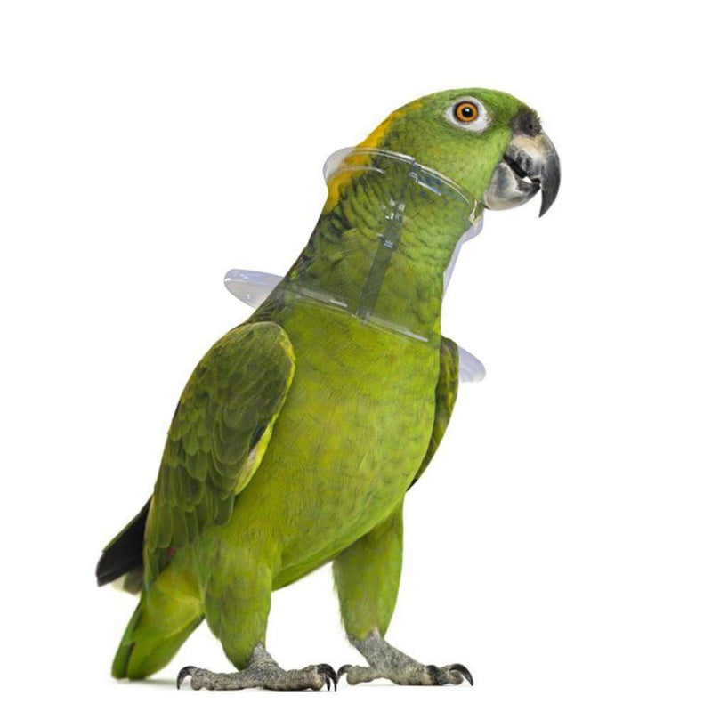 POPETPOP Bird Collar Pet Parrot - Collar, Grab Feather Lick Wound Healing Safety Practical Neck Cover for Macaw African Budgies Parakeet Cockatiel Small - PawsPlanet Australia