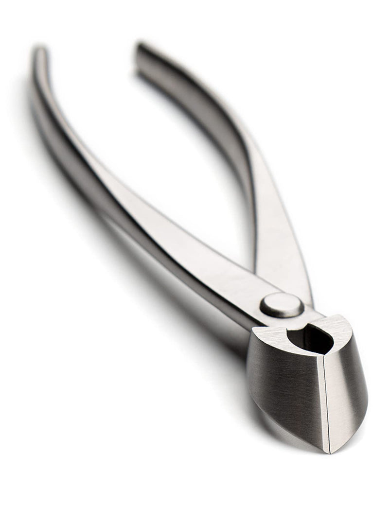 Bonsai Straight Edge Cutter Professional Grade Branch Cutter Alloy Steel Bonsai Tools Equip With Tool Bag (MT-SE-205 branch cutter gift-packaging) MT-SE-205
