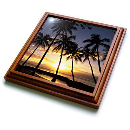 3dRose Sunset Lahaina Maui Hawaii US12 DPB0436 Douglas Peebles Trivet with Ceramic Tile, 8 by 8", Brown