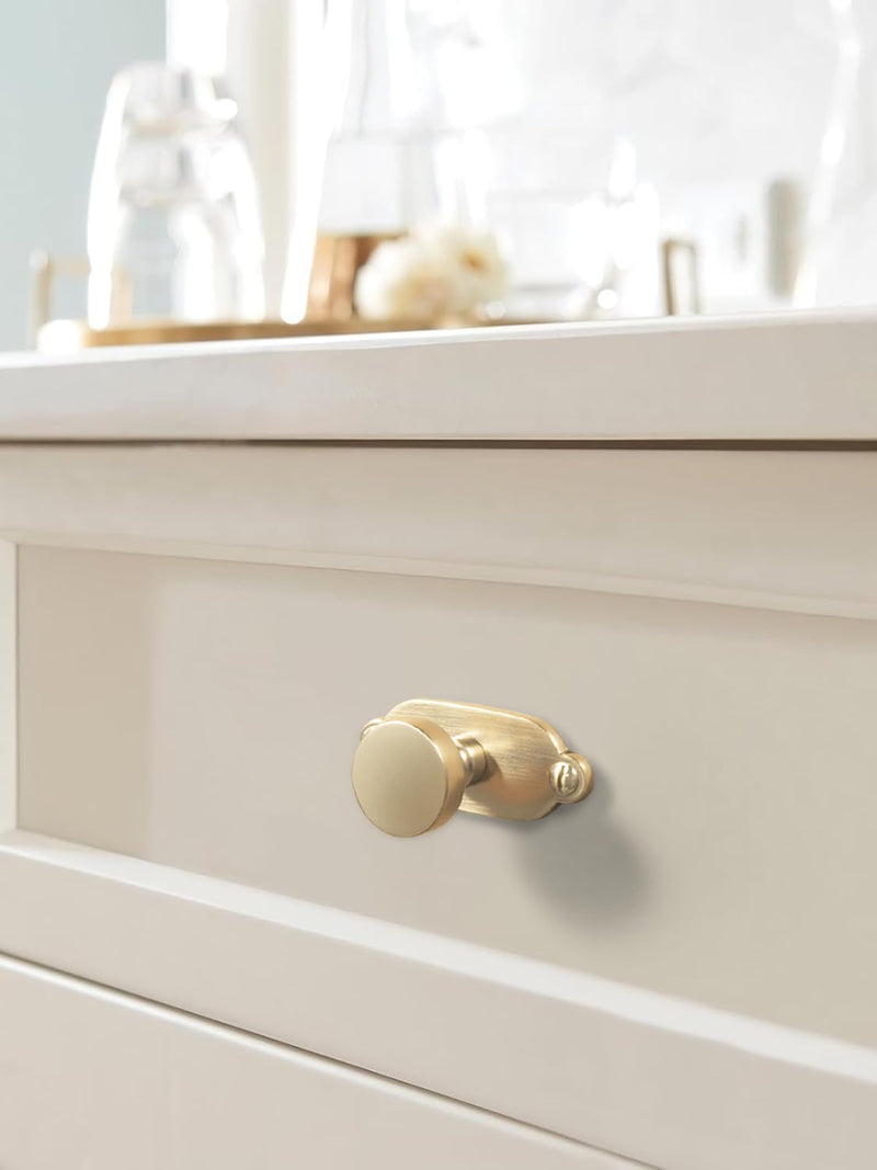 Goo-Ki 6 Pack Cabinet Knobs Champagne Bronze Drawer Knobs with Plate Zinc Alloy Kitchen Hardware - Single Screw Cabinet Pulls Solid Dresser Handles with Spacer