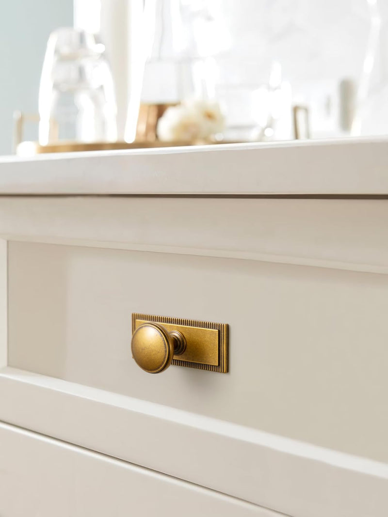 Goo-Ki 6 Pack Antique Brass Cabinet Knobs with Backplate Zinc Alloy Kitchen Hardware - Vintage Brass Single Hole/Screw Drawer Pulls Solid Cabinet Handles with Spacer G022