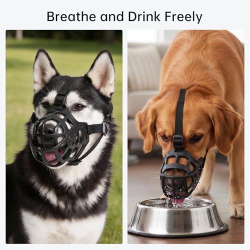 Fish Oil Omega 3 & Silicone Basket Dog Muzzle Bundle for Dogs & Cats: Skin Coat Joint Health & Anti-Biting Training Protection Set (16OZ Oil + L Black Muzzle)