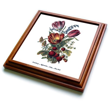 3dRose Vintage Flowers Strawberry Mignonette Tulip Blue Bells Trivet with Ceramic Tile, 8 by 8", Brown