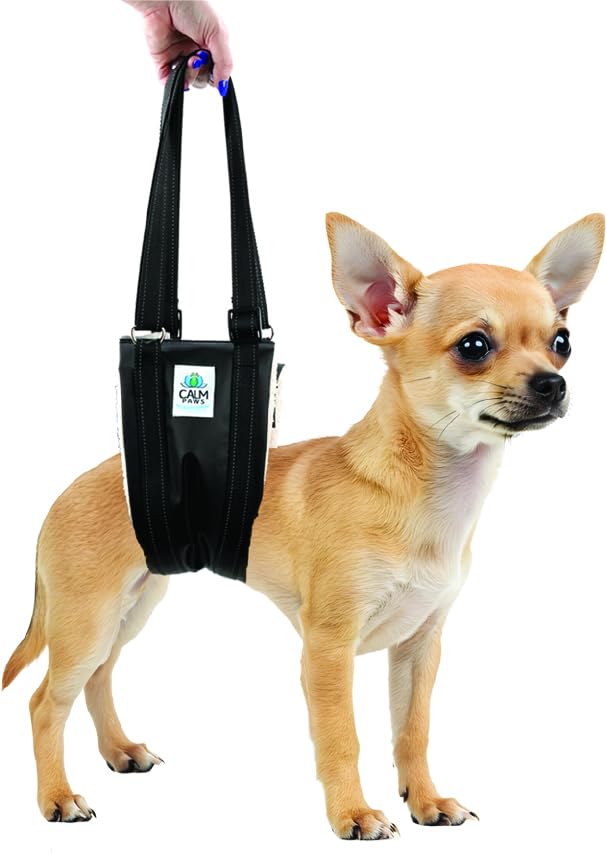 Recovery Lift Harness (Small) Small