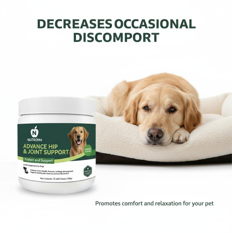 Dog Joint Supplement – Advanced Hip & Joint Support Soft Chews with Glucosamine, Chondroitin, MSM, Omega 3 & Green Lipped Mussels – Chicken Flavor Mobility & Cartilage Health – 72 Count