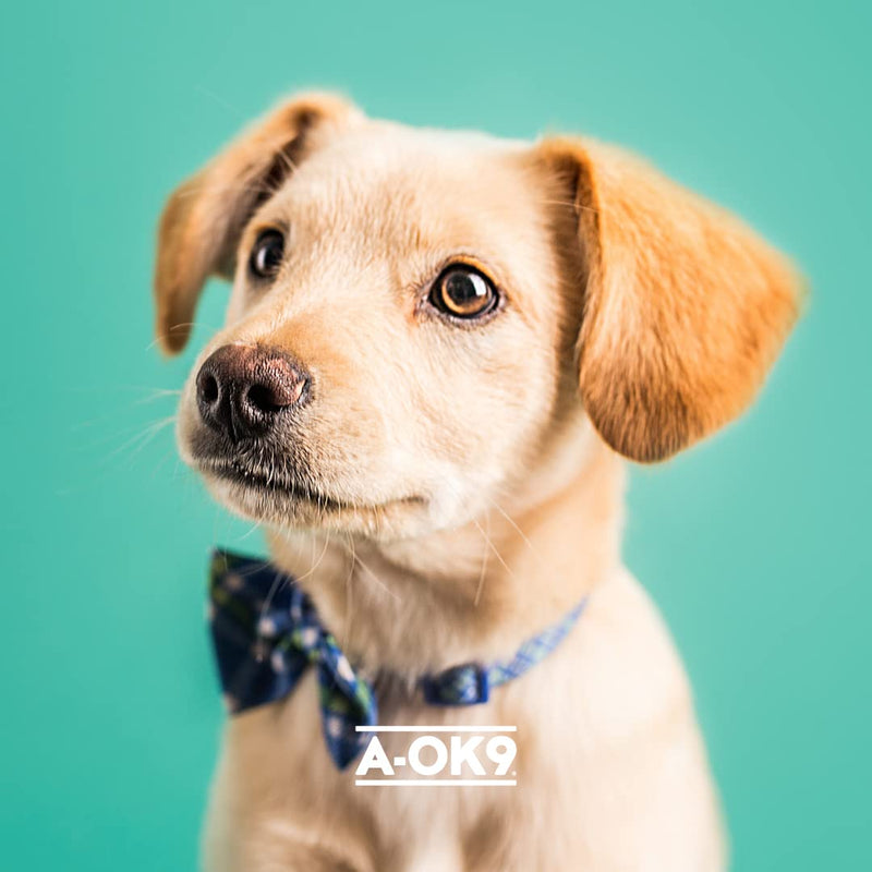 A-OK9 Calm-K9 | Calming Supplement for Dogs with Anxiety, Stress or Barking Troubles | Natural Ingredients. All Ages & Breeds Superfoods & Dog Supplements 1 pouch - PawsPlanet Australia