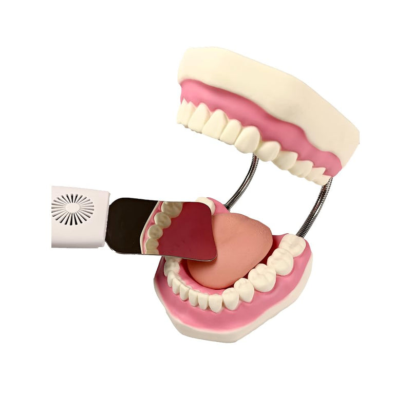 SNAWOP Dental Photography Mirrors Anti-Fog Double Sided Reflector Occlusal Intraoral Mouth Mirrors with 5 LED Light and 4 Interchangeable Mirrors