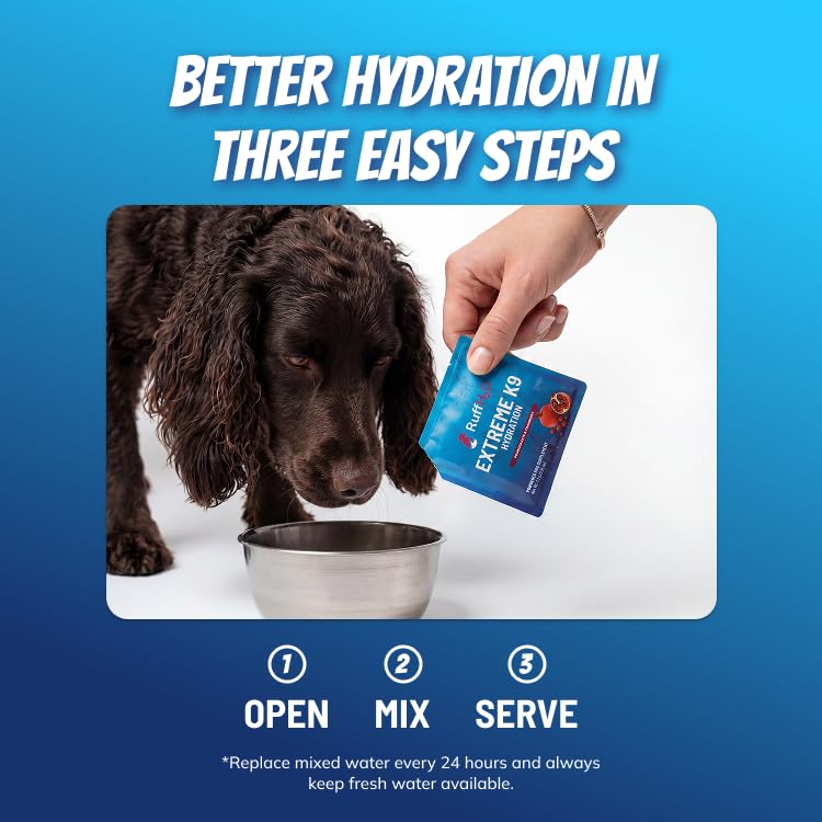 Ruff Greens RuffH2O Extreme K9 Hydration Powder for Dogs, Electrolyte Supplement with Collagen, Supports Hydration and Recovery, Made in USA, 7 Daily Packs (0.25 oz Each) (Pomagranate & Cranberry) | Electrolyte Supplement with Collagen, Supports Hydrat...