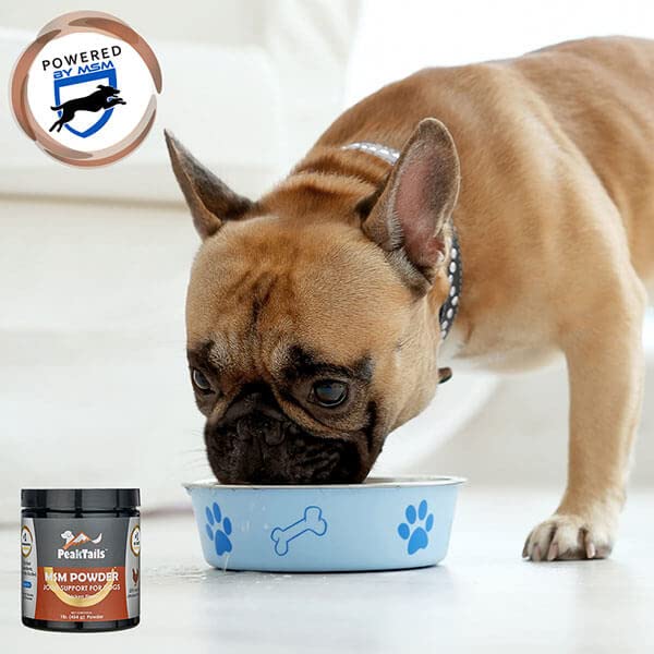 KALA HEALTH PeakTails Chicken Flavored MSM Powder for Dogs, 1 lb, Hip and Joint Support Supplement, 99.9% Pure Distilled MSM, Made in The USA - PawsPlanet Australia