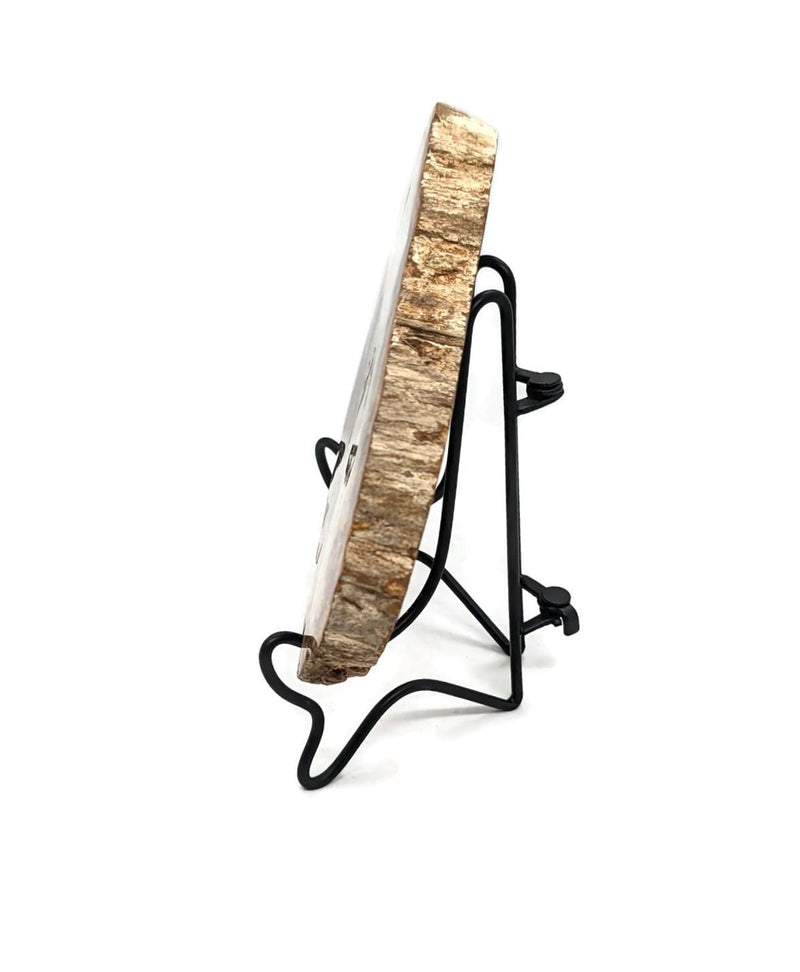 Petrified Wood Slab with Stand - 4.5 to 5 inch - Natural Petrified Wood Polished on Both Sides