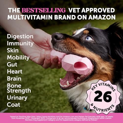 Pet Honesty Dog Wellness Virtual Bundle – 10-in-1 Multivitamin Supplement (Chicken, 180 Ct) + Brush Buddies Dental Sticks for Extra Small Dogs (40 Ct) – Daily Health & Dental Support