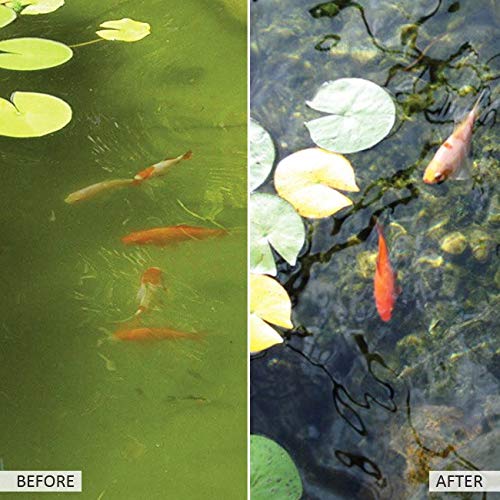 easylife lifestyle solutions Eco Pond Water Cleaner | Organic Formula Clears Dirt Naturally and Harmlessly | Microbes Leave Pond Bright & Healthy | Ideal for Aquatic Pets & Plants | From 2 Sachets - PawsPlanet Australia