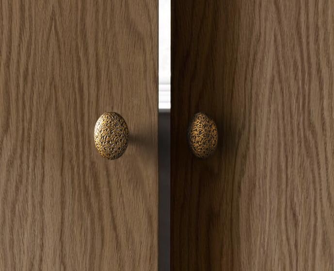 Goo-Ki 6 Pack Zinc Alloy Drawer Knobs-Big Oval Antique Brass Cabinet Knob 12