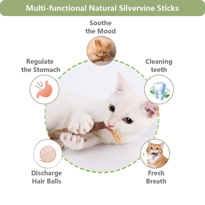 5 PCS Silvervine Sticks for Cats - Natural Cat Chew Toys for Teeth Cleaning, Kitten Teething & Aggressive Chewers 5 Pack