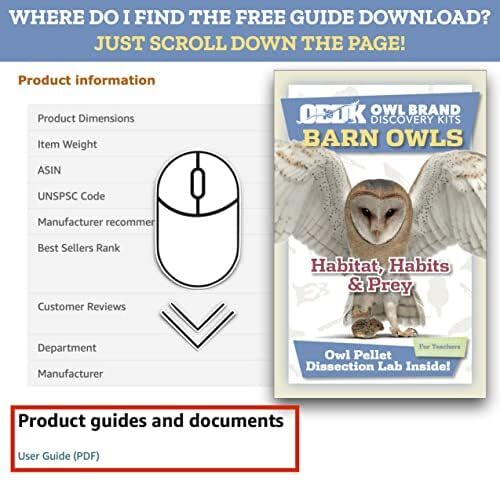 OBDK Barn Owl Pellets for Dissection - 1 Pack Jumbo Sized (2.0"-Larger) with Tools, Guide and Charts from Owl Brand Discovery Kits Jumbo (2.5 inches and Larger) 1-pack - NewNest Australia