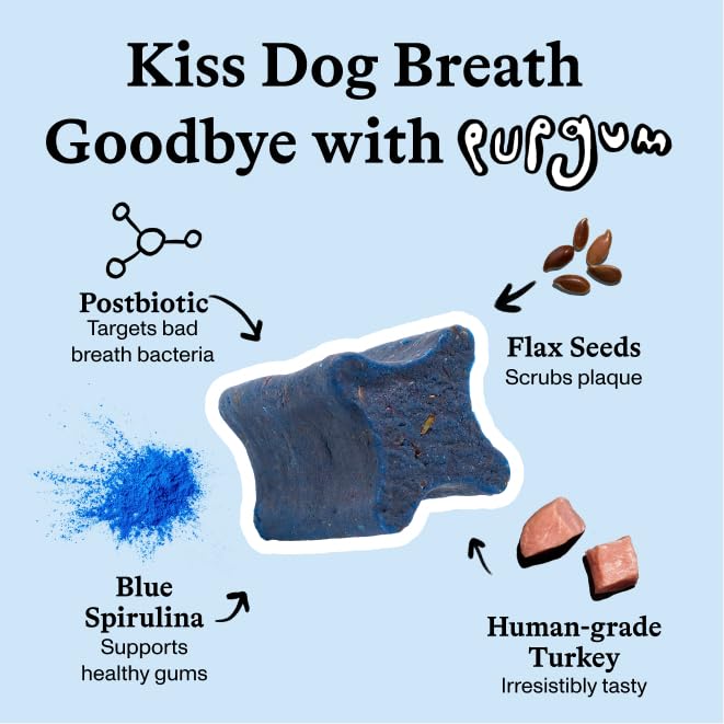 Spot & Tango PupGum Dog Dental Chews for Fresh Breath & Clean Teeth – Clinically Proven Ingredients – Human-Grade, Vet-Developed Daily Dental Treats for Dogs 16-40lbs – 14 Chews – Made in USA Medium (16-40lbs)
