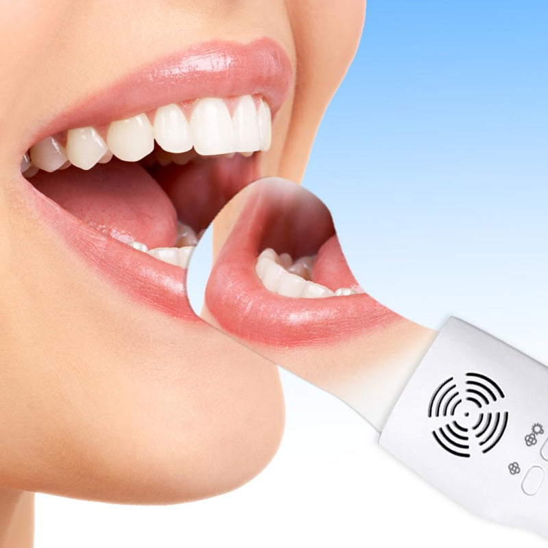 Fog-Free Dental Occlusal Photographic Mirror Device LED Light Fan | 4 Rhodium Intraoral Mirrors with Anti-Fog Fan, High-Precision Oral Inspection Device for Dentists and Hygienists
