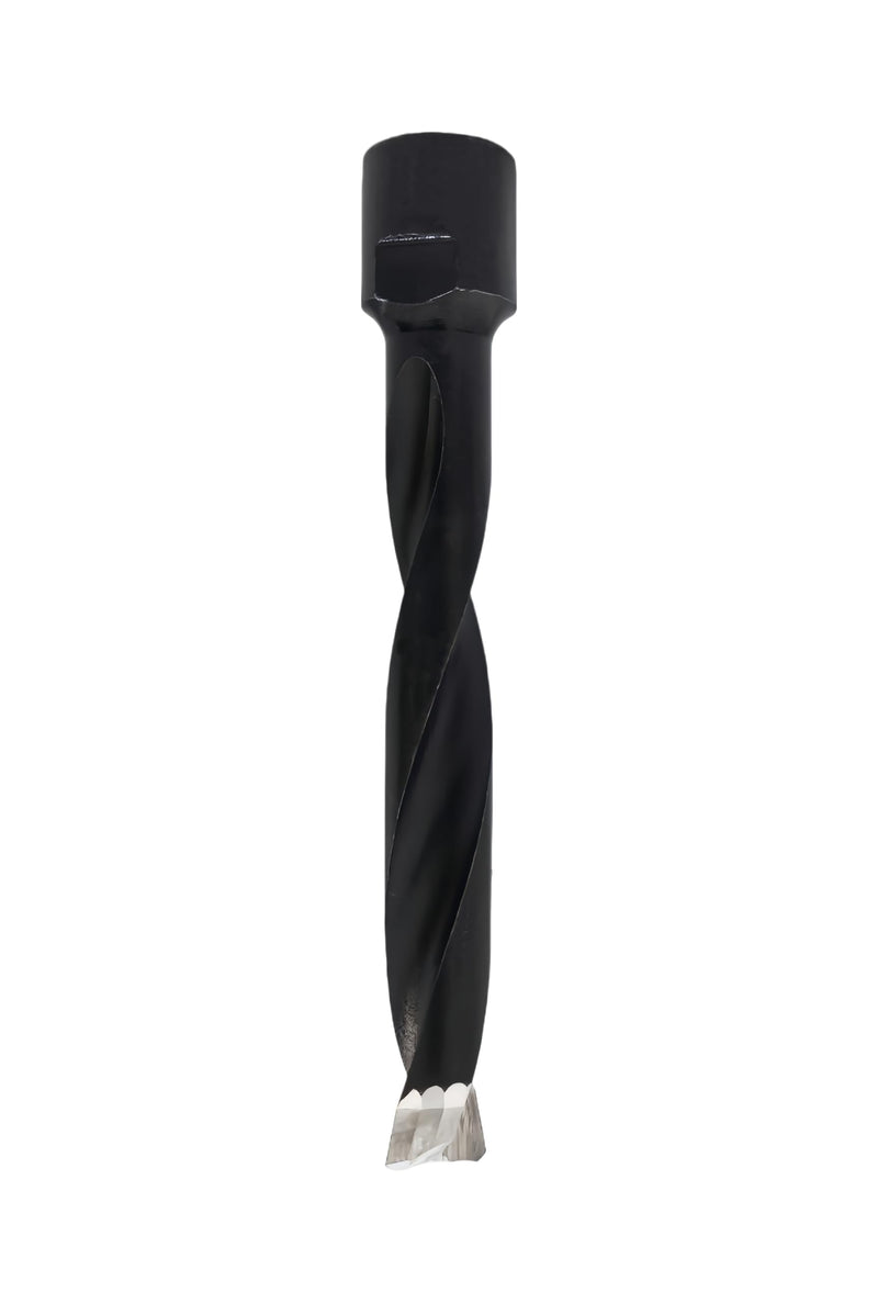 Domino Cutter, Solid Carbide Domino Bit for Domino DF700,10mm DF700-10mm domino bit