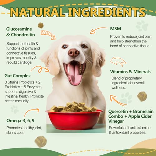 Multivitamin for Dogs Soft Chews & Pumpkin Powder for Dogs