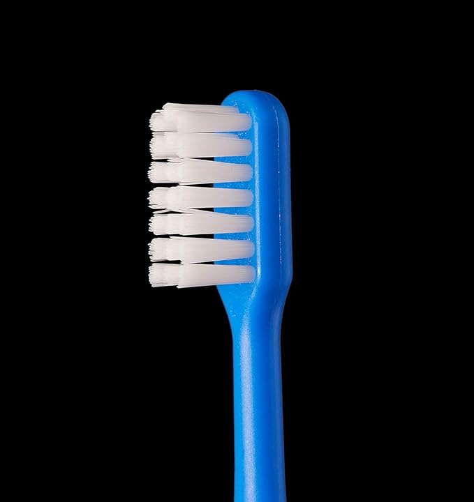 L APIS: LA-215 Children's Toothbrush, Happy Colors, 12 Colors, Dental Recommended, Animal Pattern, Elementary School Students, Iroenpitsu, Made in Japan, Junior Animal, Eco Packaging, 12 Pieces - NewNest Australia