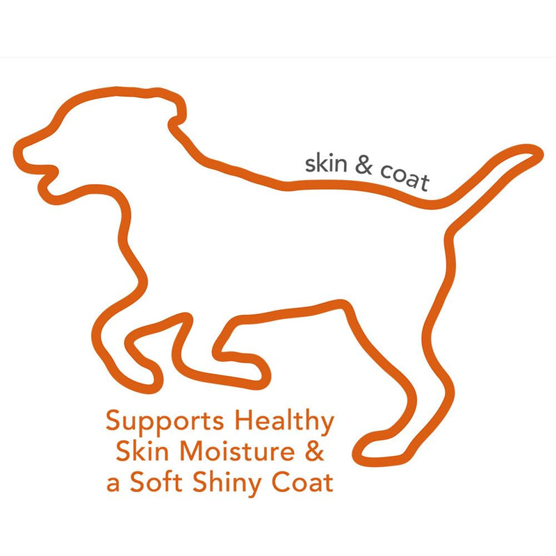 Vet's Best Skin & Coat Soft Chew Dog Supplements | Formulated with Vitamin E and Biotin to Maintain Dogs Healthy Skin and Coat | 30 Day Supply - PawsPlanet Australia