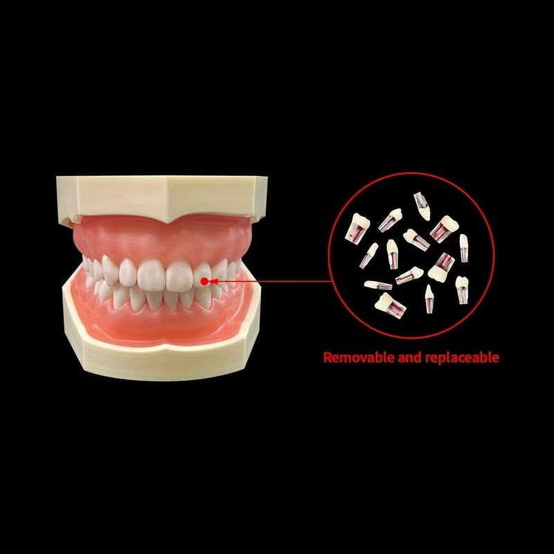 Dental RCT Root Canal Practice Model, Teaching, Study Teeth Model, Endo Teeth, fits with NISSIN Type 28 Teeth Typodont (28pcs/Set) 28pcs/set