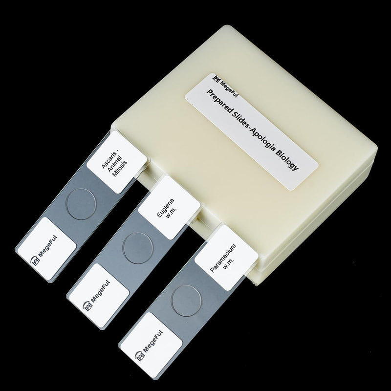 Prepared Microscope Slides for Apologia Biology Series, 16PCS Microscope Slides Set Includes Various Types Samples for Biology Course