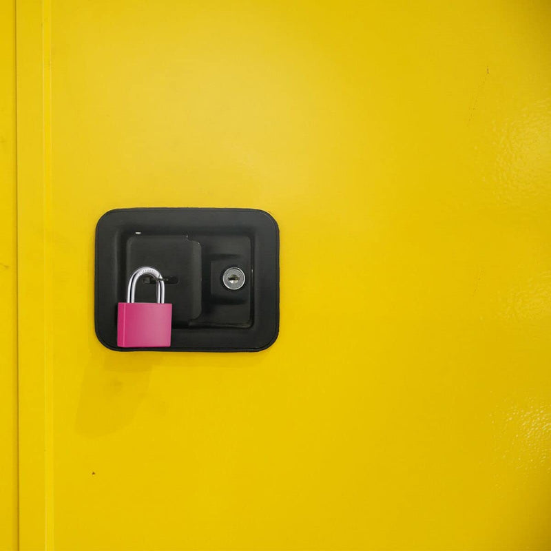 2 Pack Aluminum Locker Lock with Key, Pad Lock with 1-9/16 in. (40 mm) Wide Lock Body, Key Lock for Gym Locker, Shed, Gate, and Storage Unit Pink*2SS