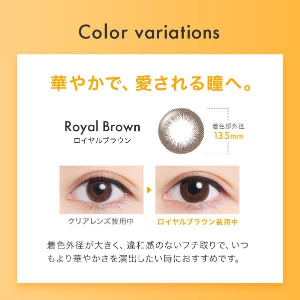Creo One Day UV Ring 30 Pieces 1 Box Royal Brown (Daily Disposable Contact Lenses) [BC] 8.5 [PRW] -6.50 - NewNest Australia