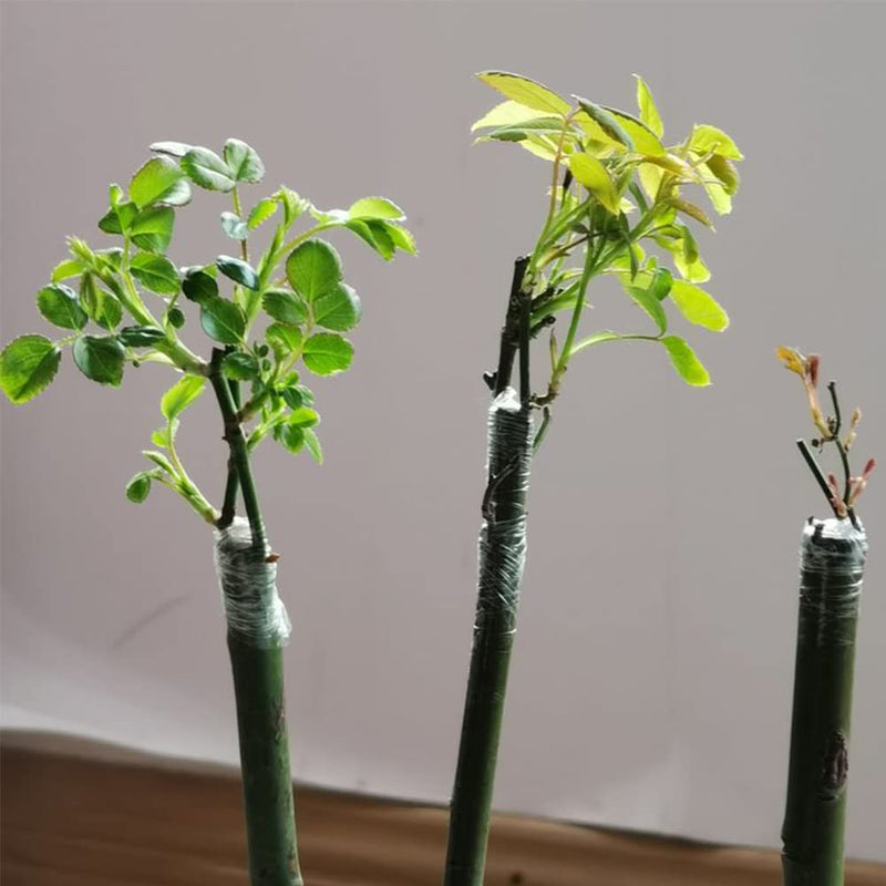 Grafting Tape Grafting Film for Plants, 2 Pack Stretchable Garden Grafting Tape Plants Repair Budding Tapes for Floral Fruit Tree and Poly Budding Tape