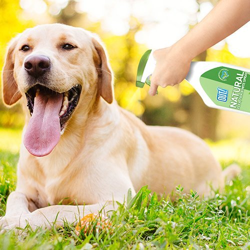 OUT! Natural Flea, Tick and Mite Treatment Spray, 500 ml - PawsPlanet Australia