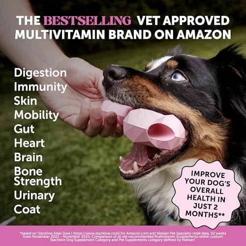 Pet Honesty Dog Wellness Virtual Bundle – 10-in-1 Multivitamin Supplement (Chicken, 90 Ct) + Brush Buddies Dental Sticks for Extra Small Dogs (40 Ct) – Daily Health & Dental Support