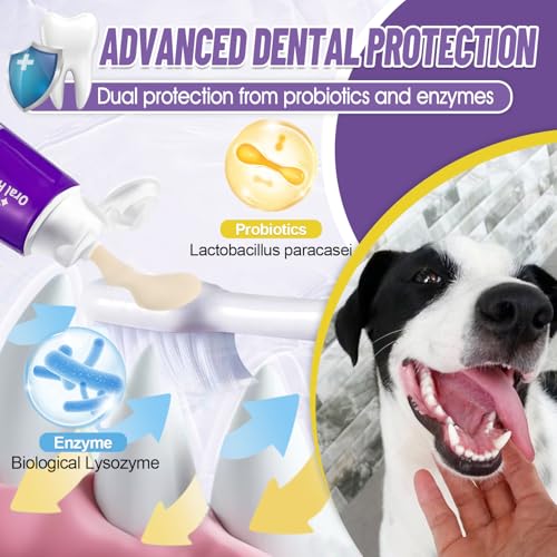 Cat Toothbrush for Kitten Teeth Cleaning + Natural Coconut Oil Cat & Dog Toothpaste.Enzymatic