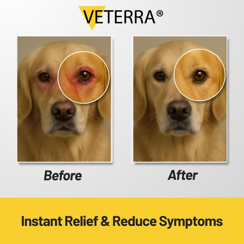 Pet Eye Drops , Cat Eye Drop | Pet Eye Health Formula - Treats & Prevents Eye Diseases in Dogs & Cats (Conjunctivitis, Tear Duct Obstruction, Corneal Ulcers) - Soothing Relief for Irritated Eyes 5 ml